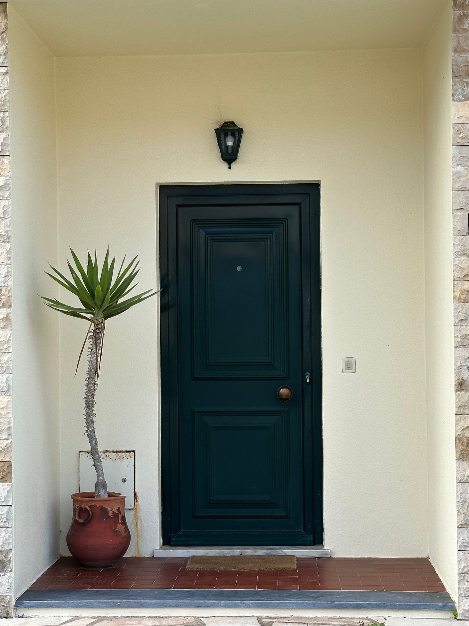 Porta de entrada verde-escura em fachada clara e minimalista, com vaso de planta ao lado