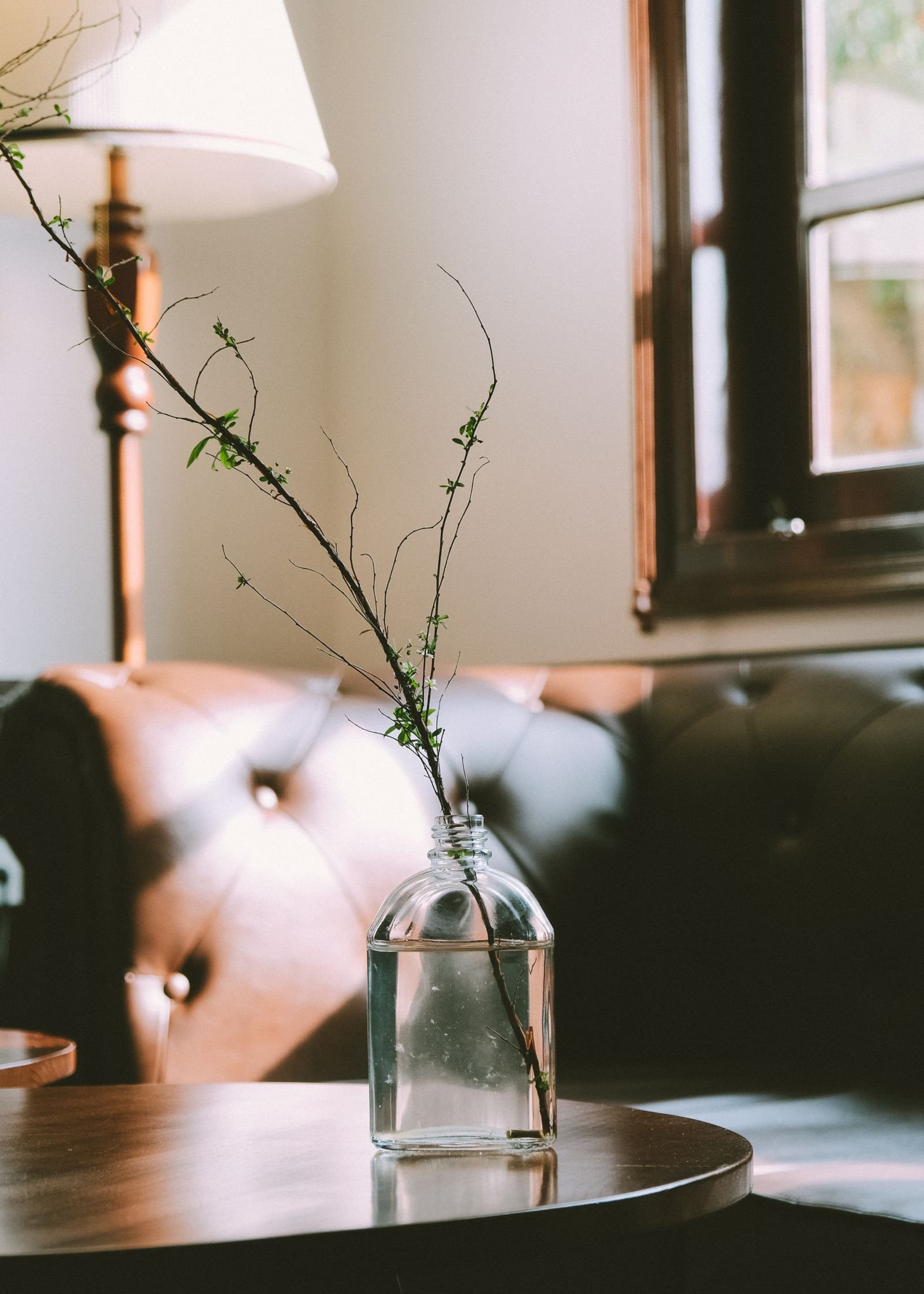 Vaso de vidro transparente com água e um galho florido, sobre mesa redonda de madeira em sala com luz natural