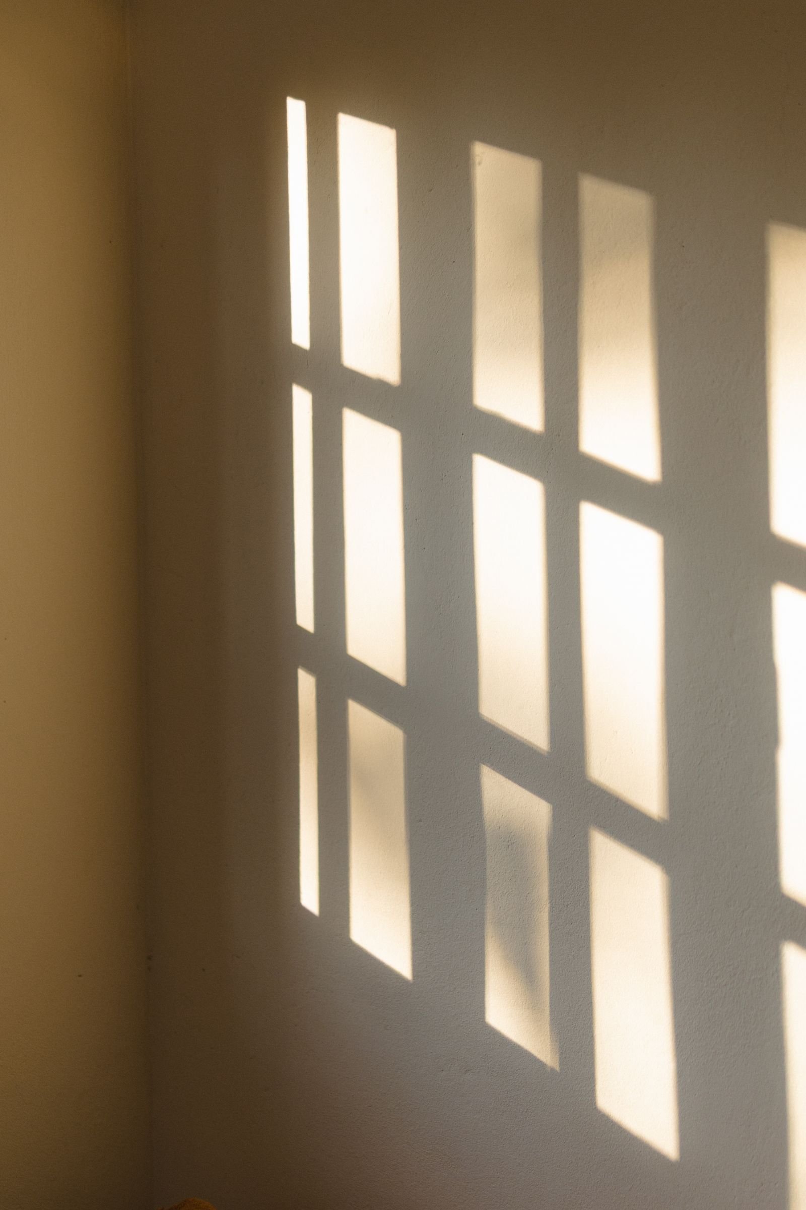 Parede clara dividida pela sombra da grade de uma janela, com metade iluminada pelo sol e metade na sombra